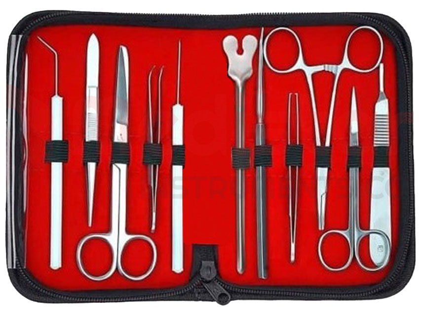 S/S AISI 410 studentu disekcijas komplekts.11 gab