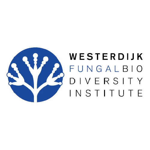 Hymenoscyphus fraxineus CBS 123367