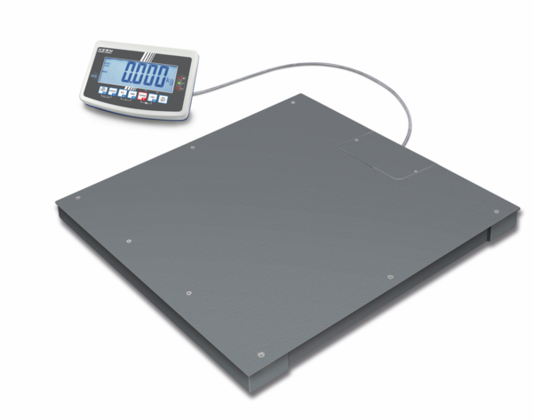 Floor scale