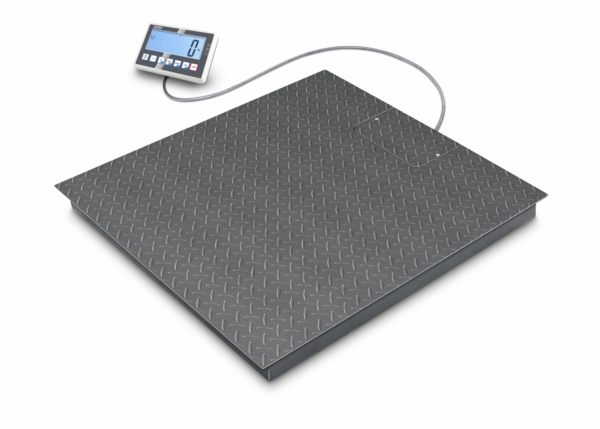 Floor scale